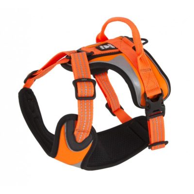 Hurtta HU932465 Active Dazzle Harness, Hi-Viz Orange, 24-32 in