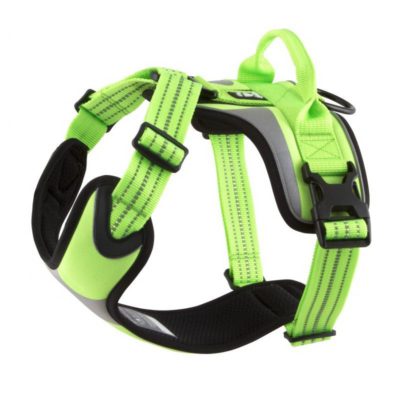 Hurtta HU932919 Active Dazzle Harness, Kiwi, 24-32 in